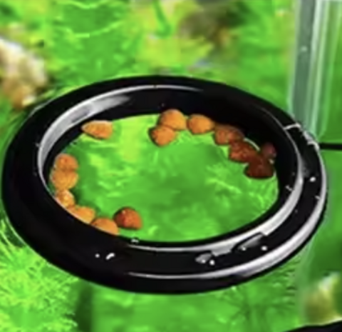 AquastoreXL Aquarium Futterring, schwimmende Futterstation mit Saugnapf