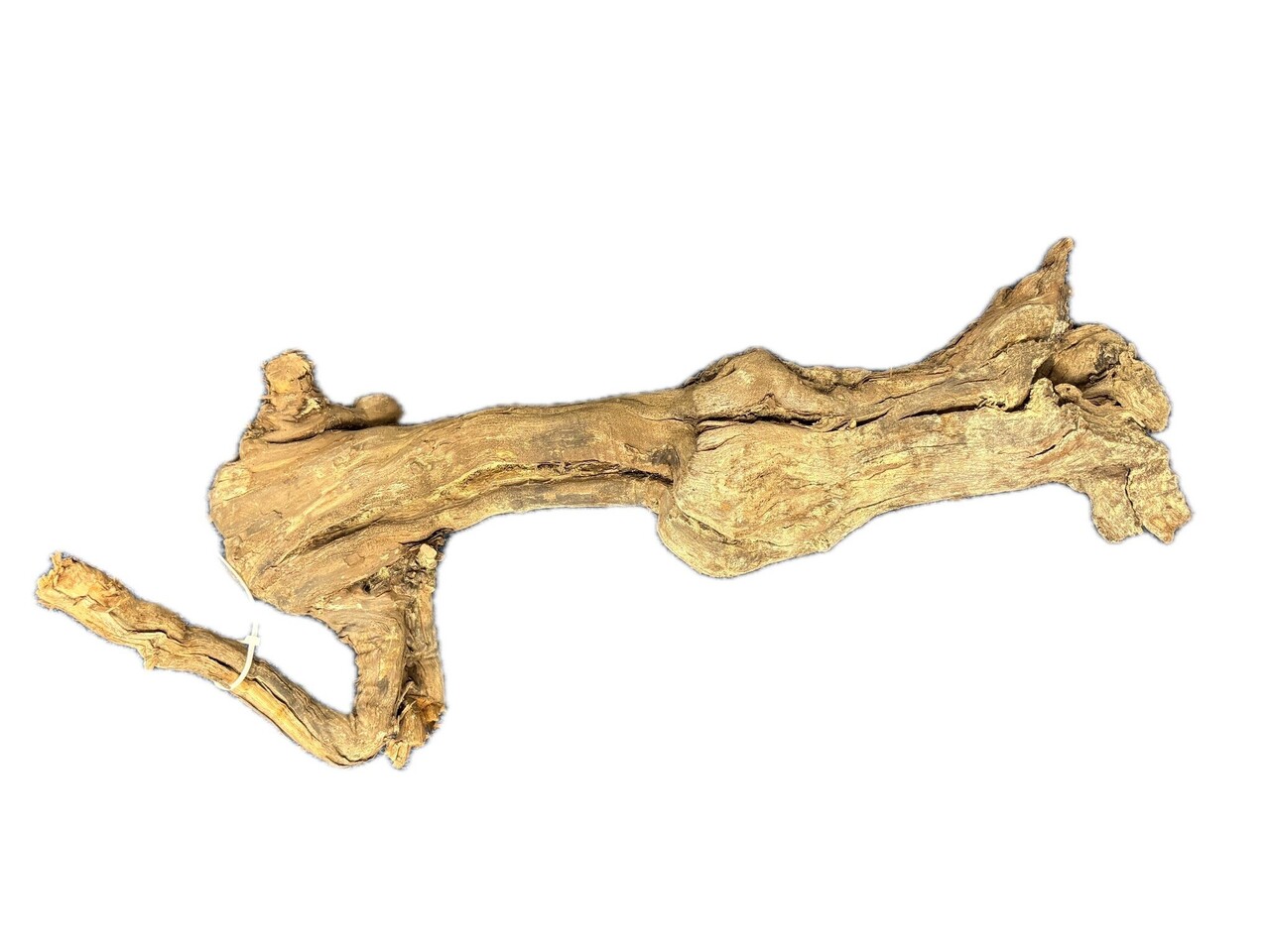 WIO Centurion Treibholz 50-70cmXL WIO Centurion Treibholz 50-70cmXL