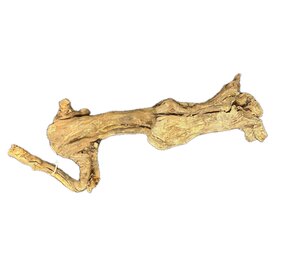 WIO Centurion Treibholz 50-70cmXL WIO Centurion Treibholz 50-70cmXL