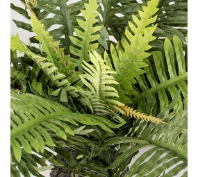 Aqua D'ella Realistischer Kunstfarn für Terrarien XL