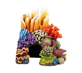 Aqua D'ella Korallengrotzecke M