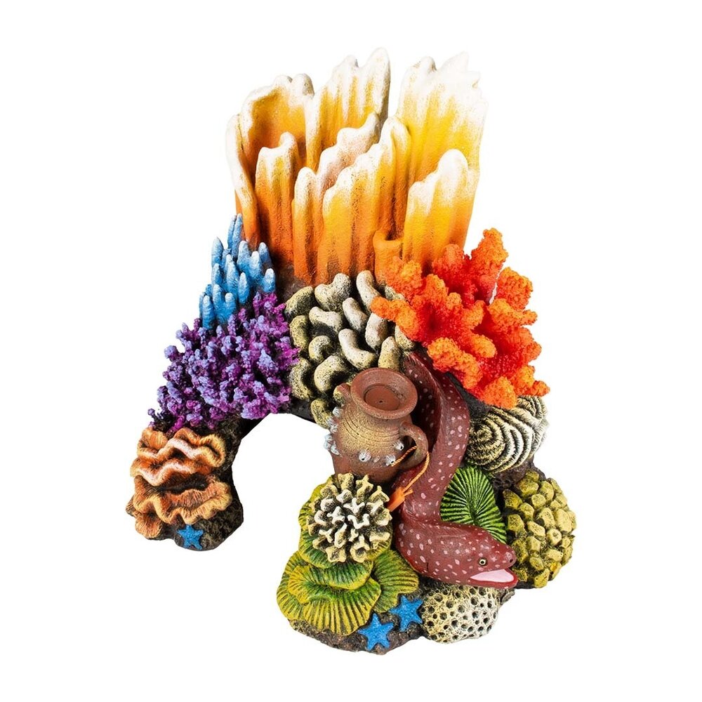 Aqua D'ella Korallengrotzecke M