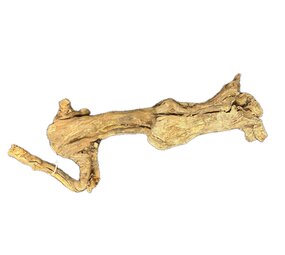 WIO Centurion Treibholz 30-50cm