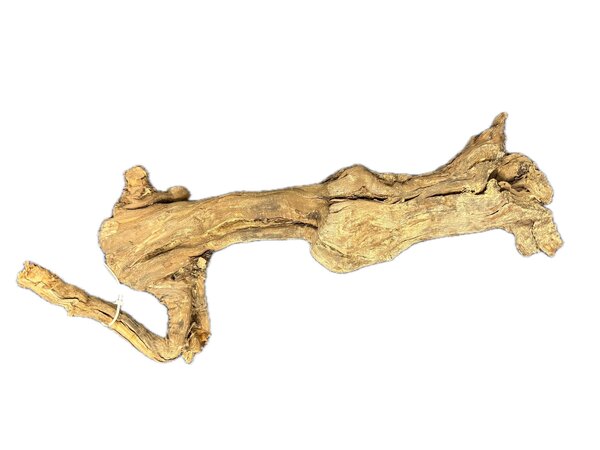 WIO Centurion Treibholz 30-50cm