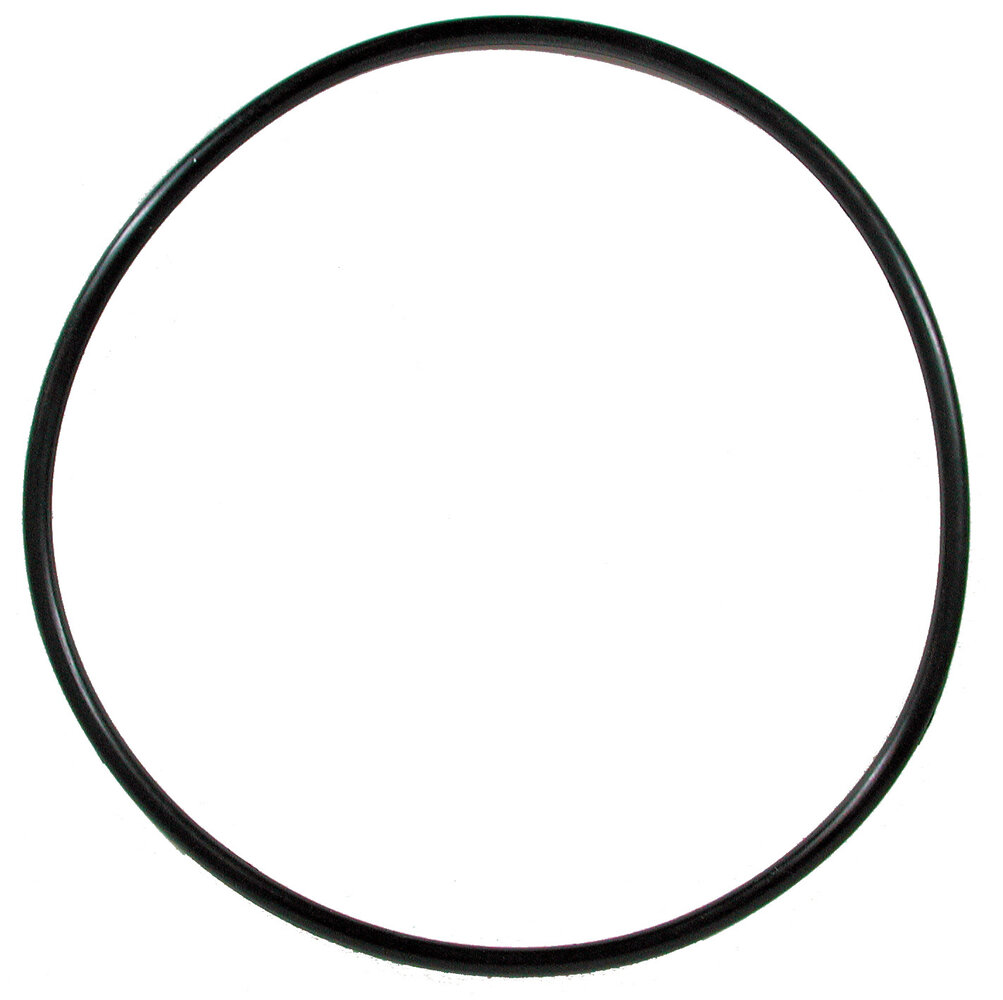 Tetra Dichtring für EX 1200 Filter