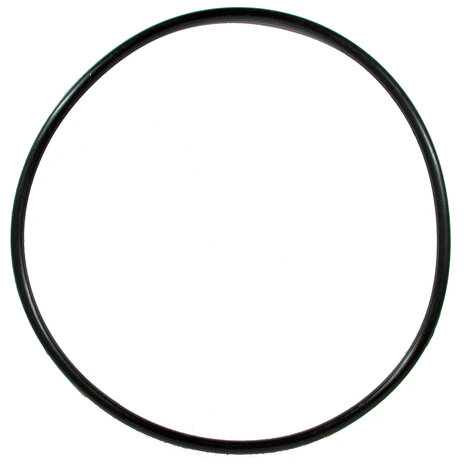 Tetra Dichtring für EX 1200 Filter