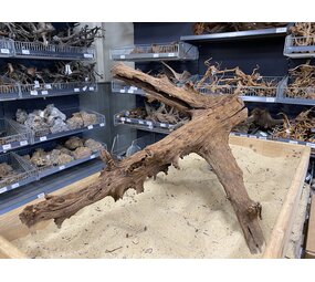 HS Aqua Mangrovenholz XL (65-90 cm) E HS Aqua Mangrovenholz XL (65-90 cm) E