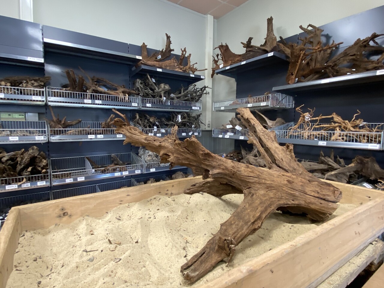 HS Aqua Mangrovenholz XL (65-90 cm) E HS Aqua Mangrovenholz XL (65-90 cm) E