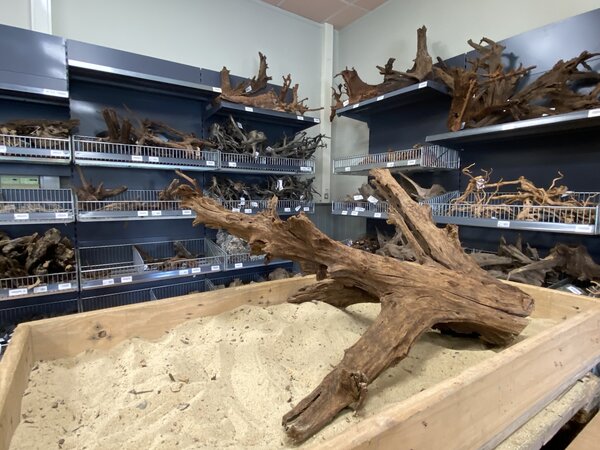 HS Aqua Mangrovenholz XL (65-90 cm) E HS Aqua Mangrovenholz XL (65-90 cm) E