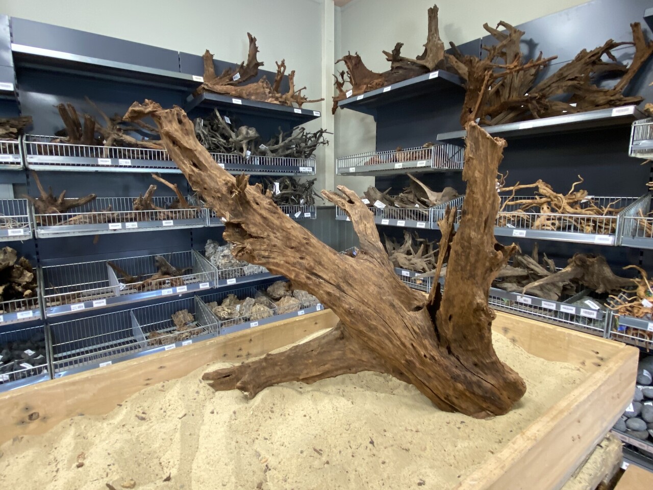 HS Aqua Mangrovenholz XL (65-90 cm) E HS Aqua Mangrovenholz XL (65-90 cm) E