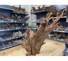 HS Aqua Mangrovenholz XL (65-90 cm) F HS Aqua Mangrovenholz XL (65-90 cm) F