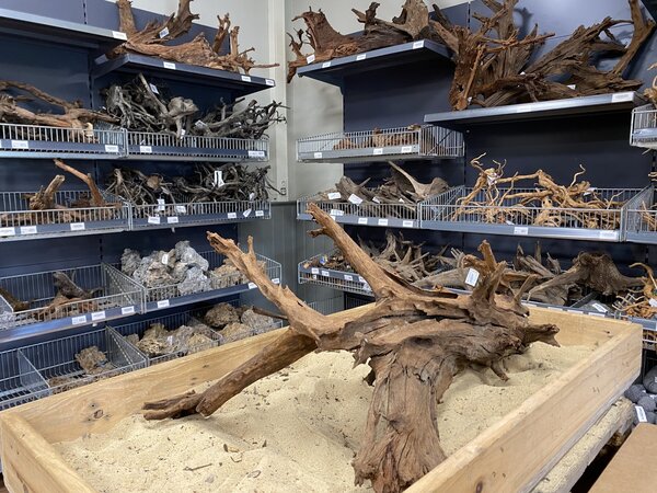 HS Aqua Mangrovenholz XL (65-90 cm) C HS Aqua Mangrovenholz XL (65-90 cm) C