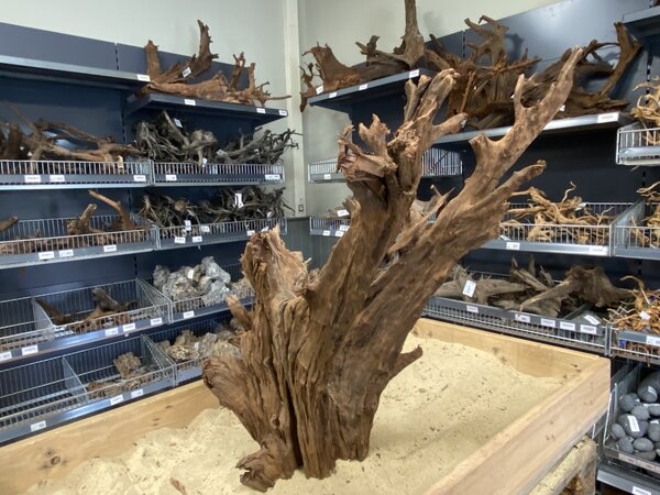 HS Aqua Mangrovenholz XL (65-90 cm) F HS Aqua Mangrovenholz XL (65-90 cm) F