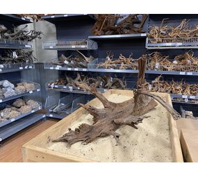 HS Aqua Mangrovenholz XL (65-90 cm) B HS Aqua Mangrovenholz XL (65-90 cm) B