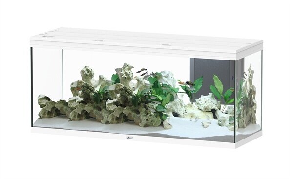 Aquatlantis Aquarium Splendid 150x50 Ultra Biobox