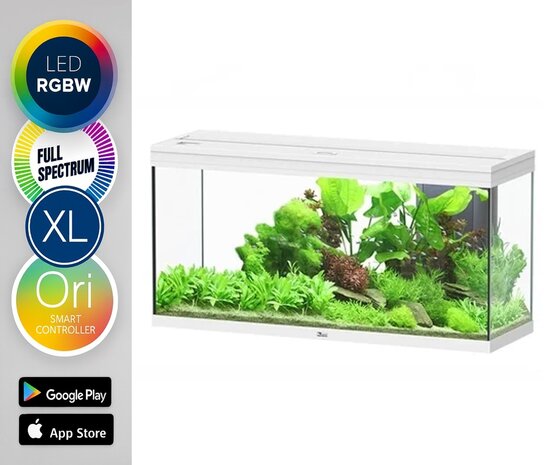 Aquatlantis Aquarium Splendid 120x50 Ultra RGBW Biobox