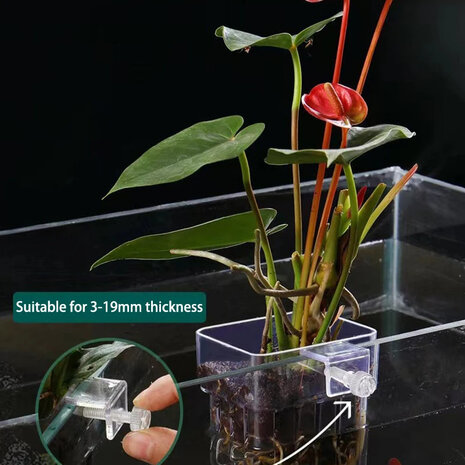 AquastoreXL Acryl Bepflanzungsbecher für Wasserpflanzen