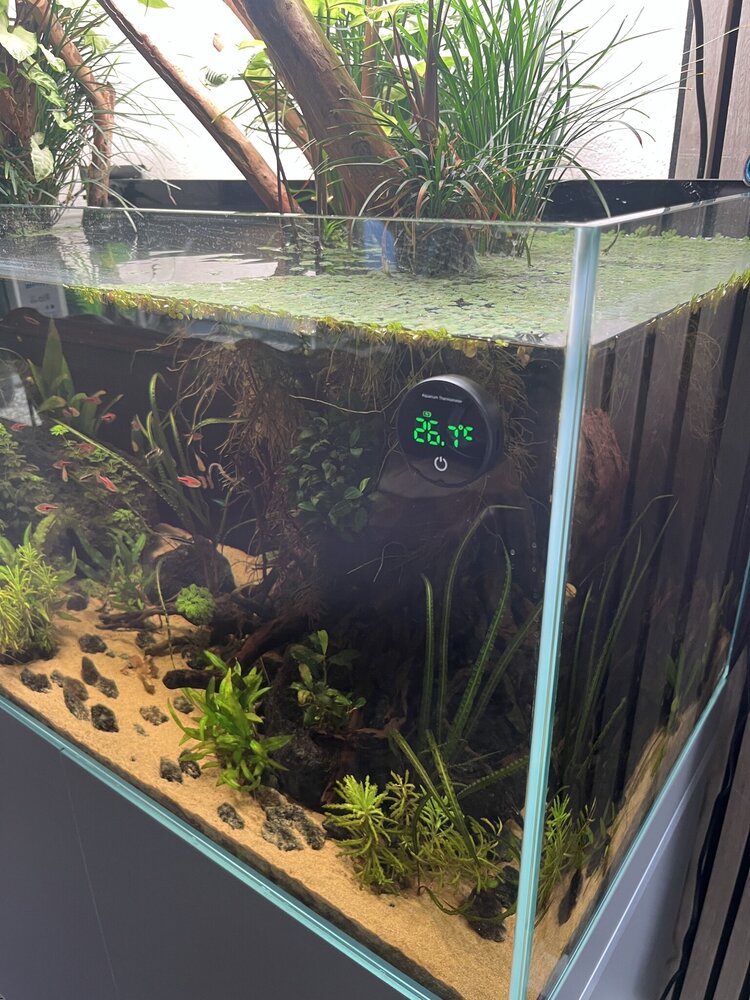 AquastoreXL Aquarium/Terrarium Thermometer Wiederaufladbar