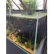 AquastoreXL Aquarium/Terrarium Thermometer Wiederaufladbar