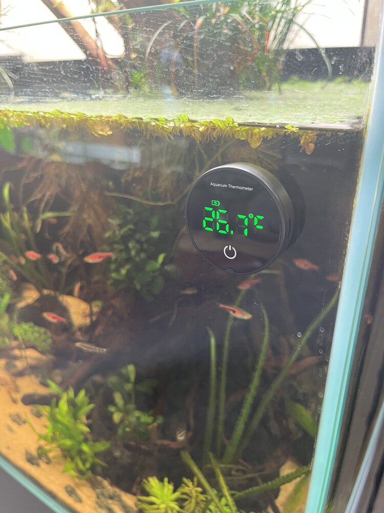 AquastoreXL Aquarium/Terrarium Thermometer Wiederaufladbar
