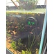 AquastoreXL Aquarium/Terrarium Thermometer Wiederaufladbar