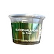 Wasserpflanze Bucephalandra 'Maia' – In-vitro Aquariumpflanze Wasserpflanze Bucephalandra 'Maia' – In-vitro Aquariumpflanze