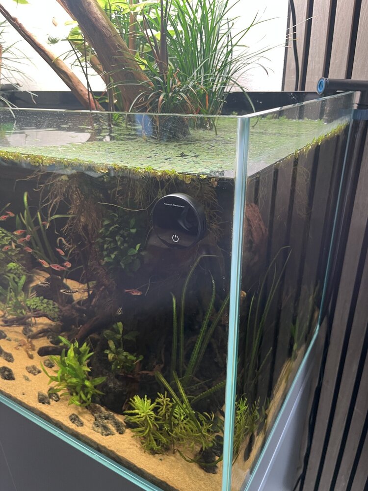 AquastoreXL Aquarium/Terrarium Thermometer Wiederaufladbar