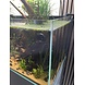 AquastoreXL Aquarium/Terrarium Thermometer Wiederaufladbar