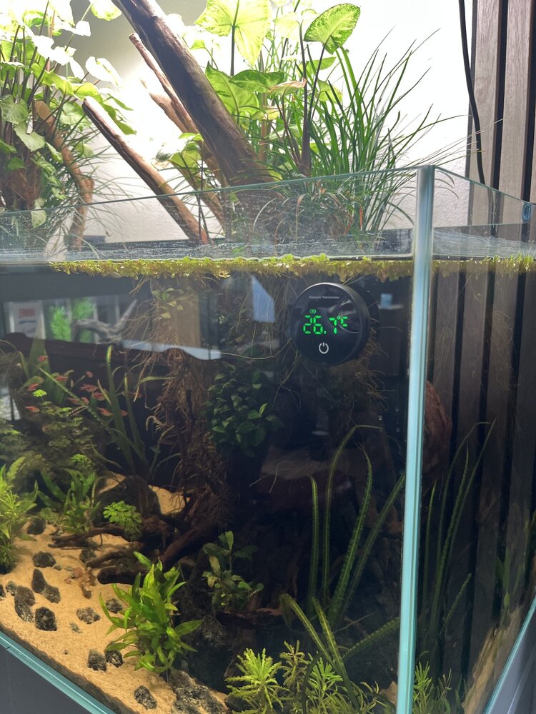 AquastoreXL Aquarium/Terrarium Thermometer Wiederaufladbar
