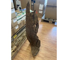 AQXL Ausgewähltes Mangrovenholz XL NR03 90-120cm AQXL Ausgewähltes Mangrovenholz XL NR03 90-120cm