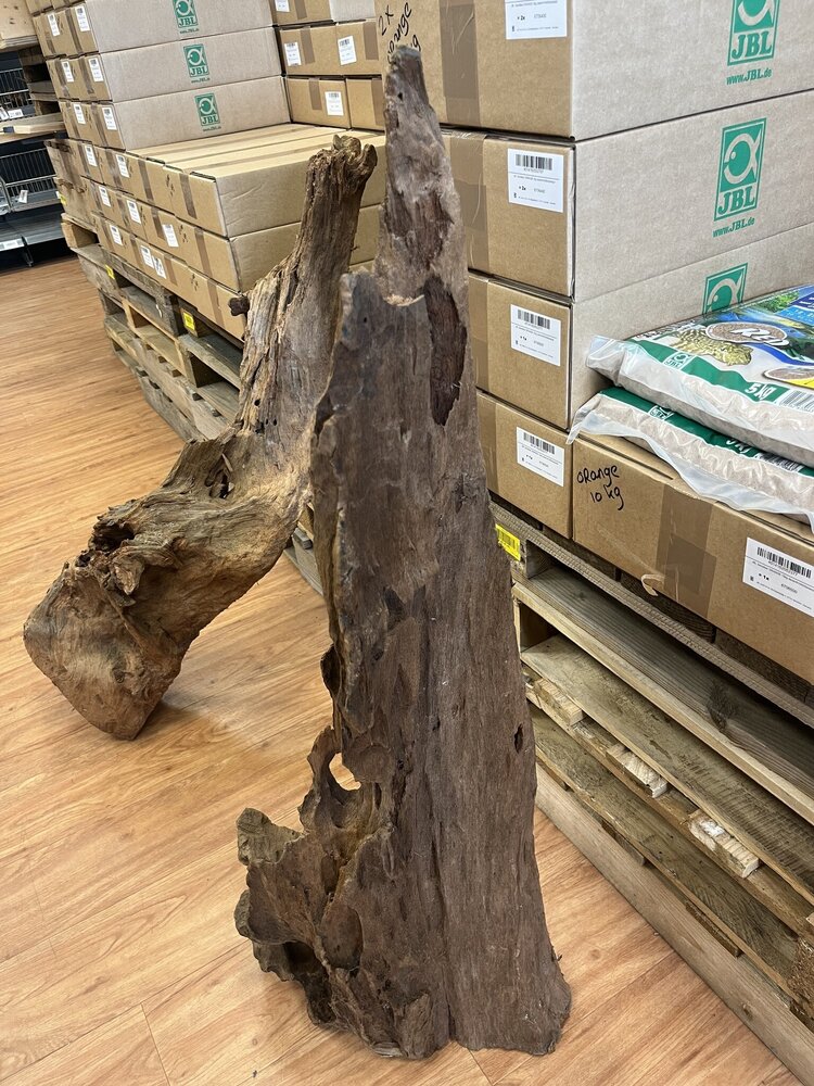 AQXL Ausgewähltes Mangrovenholz XL NR03 90-120cm