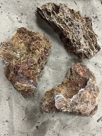 AQXL B Steenbundel Maple Leaf Rock braun 3 Stück