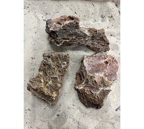 AQXL A Steenbundel Maple Leaf Rock braun 3 Stück