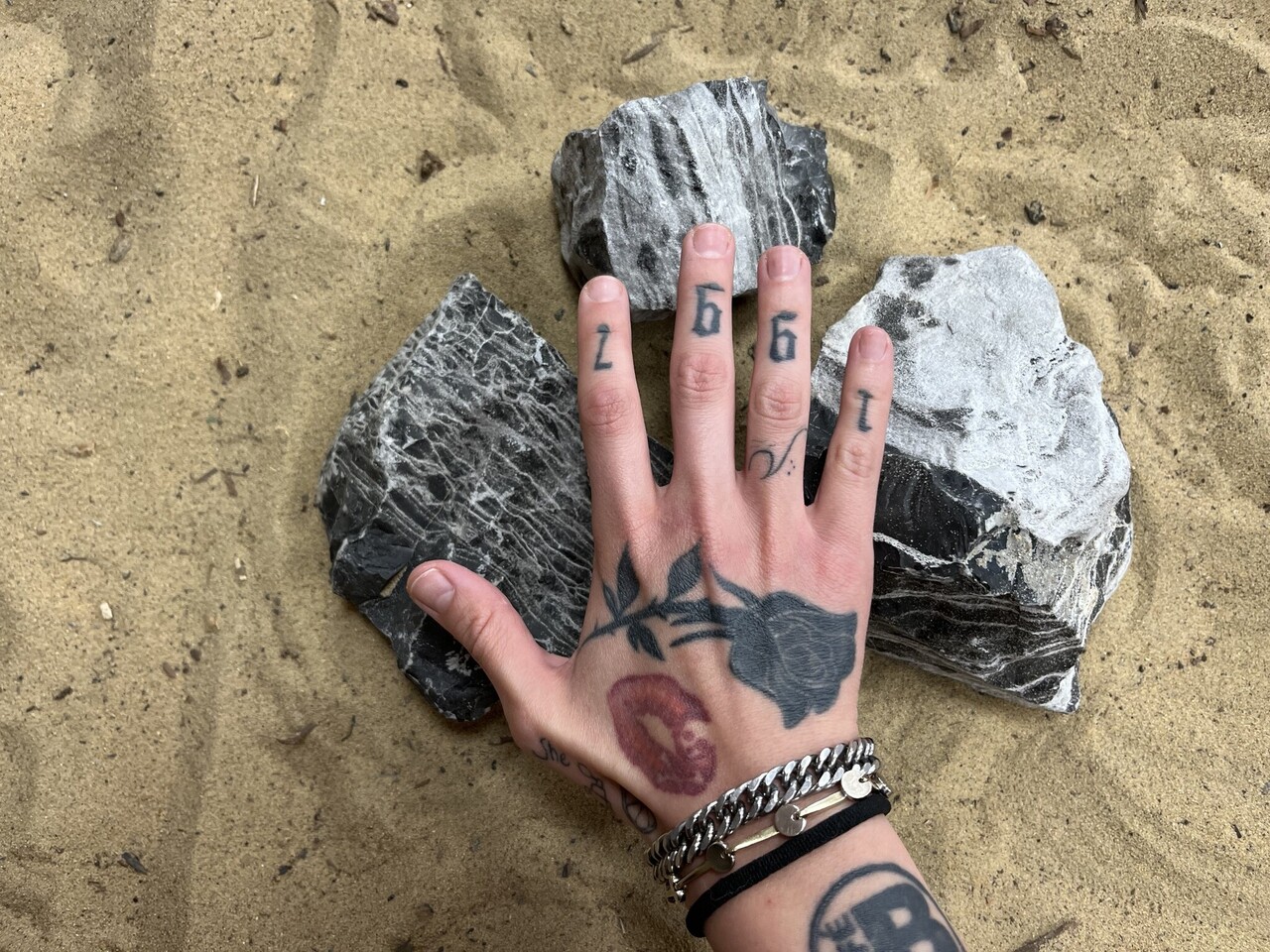 AQXL K Steinbündel Leopard Stone grau 3 Stück AQXL K Steinbündel Leopard Stone grau 3 Stück