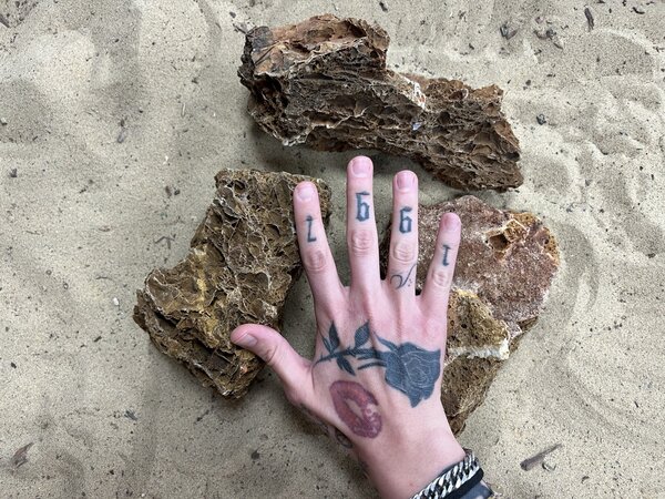 AQXL A Steenbundel Maple Leaf Rock braun 3 Stück