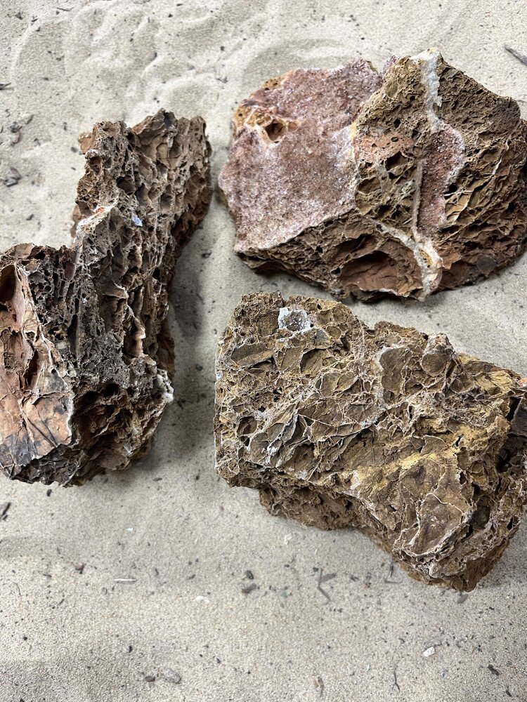 AQXL A Steenbundel Maple Leaf Rock braun 3 Stück