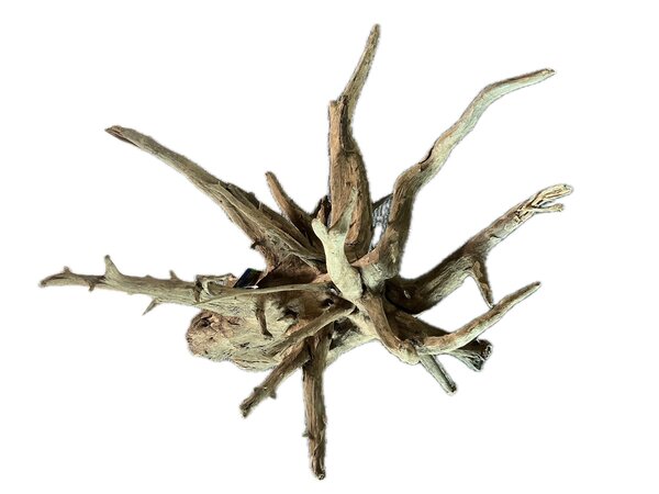 HS Aqua CORBO-ROOT XL 55-80 cm