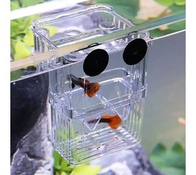 AquastoreXL Aquarium Aufzuchtbecken S AquastoreXL Aquarium Aufzuchtbecken S