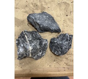 AQXL Selected G Steenbundel Landscape Ryuoh schwarz