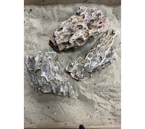 AQXL Selected H Steenbundel Dragon Rock braun 3 Stück