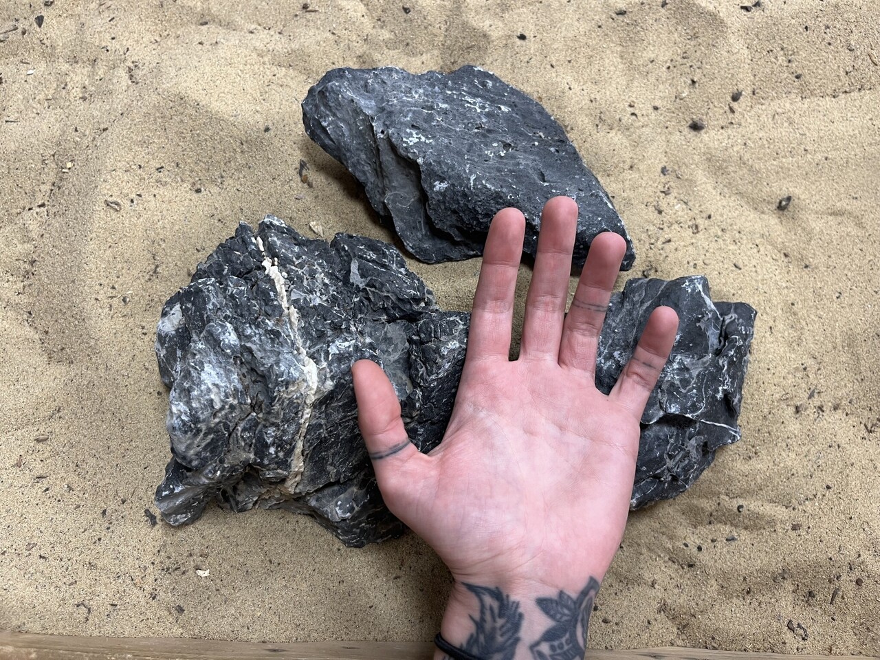 AQXL Selected G Steenbundel Landscape Ryuoh schwarz