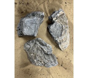 AQXL Selected N Steenbundel Landscape Ryuoh grau