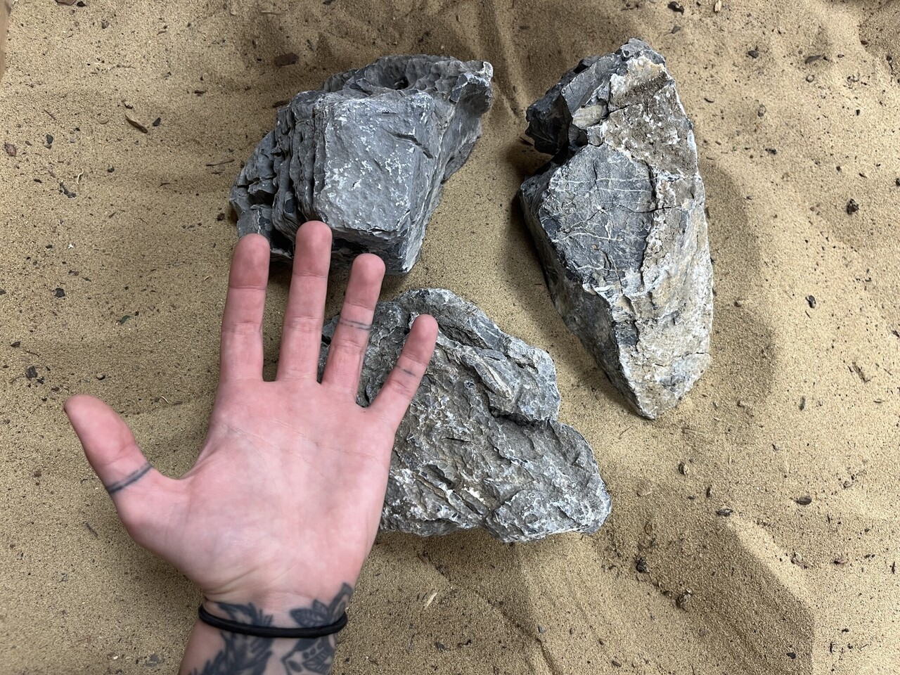 AQXL Selected N Steenbundel Landscape Ryuoh grau AQXL Selected N Steenbundel Landscape Ryuoh grau