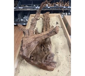 AQXL Ausgewähltes Mangrovenholz XL D 70-90cm AQXL Ausgewähltes Mangrovenholz XL D 70-90cm