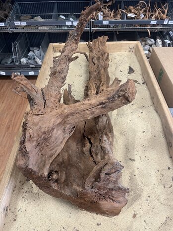 AQXL Ausgewähltes Mangrovenholz XL D 70-90cm AQXL Ausgewähltes Mangrovenholz XL D 70-90cm