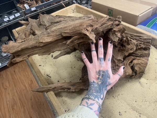 AQXL Ausgewähltes Mangrovenholz XL E 70-90cm AQXL Ausgewähltes Mangrovenholz XL E 70-90cm