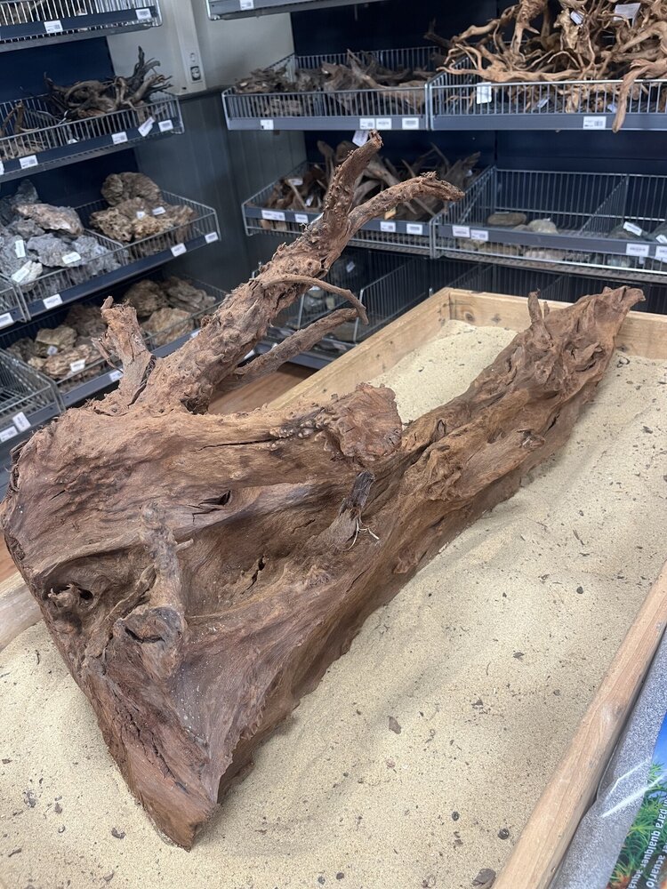 AQXL Ausgewähltes Mangrovenholz XL D 70-90cm AQXL Ausgewähltes Mangrovenholz XL D 70-90cm