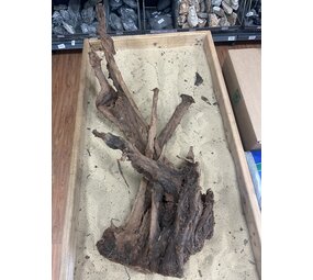 AQXL Ausgewähltes Mangrovenholz XL C 70-90cm AQXL Ausgewähltes Mangrovenholz XL C 70-90cm