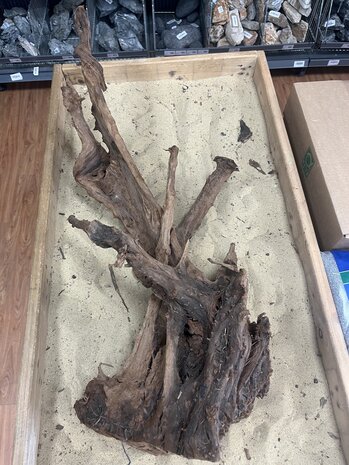 AQXL Ausgewähltes Mangrovenholz XL C 70-90cm