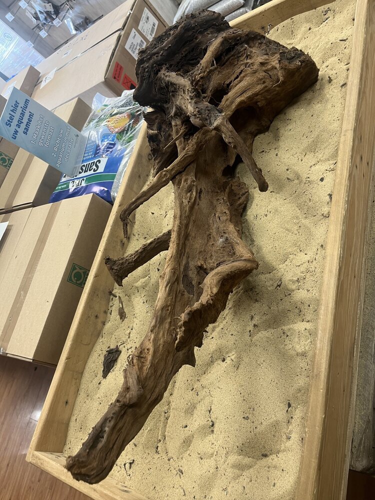 AQXL Ausgewähltes Mangrovenholz XL C 70-90cm